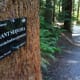 Hoyt Arboretum at Washington Park in Portland