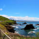 View of Cobble Beach