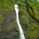 Horsetail Falls in the Columbia River Gorge