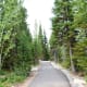 Trail to the Jenny Lake Boat Dock at Jenny Lake in Grant Teton National Park, Wyoming