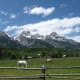 Horses Grazing below the Tetons near Taggart Lake in Grand Teton National Park, Wyoming