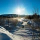 Moose-Wilson Road in Grand Teton National Park, Wyoming