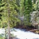 Hidden Falls Trail at Grand Teton National Park in Wyoming