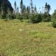 Grassy mountainside