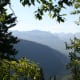 Mountain vista through the trees