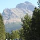 Mountains through the trees