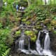 Mtirala National Park Waterfalls