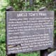 Uncle Tom's Trail to Lower Yellowstone Falls at Yellowstone National Park