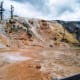 Mammoth Hot Springs near the North Entrance in Yellowstone National Park