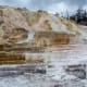 Mammoth Hot Springs near the North Entrance in Yellowstone National Park