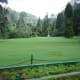 Another Shade of Green at the Botanical Gardens