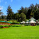 A Green Carpet at Ooty's Botanical Gardens