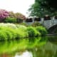 Beautiful Norfolk Botanical Gardens in Norfolk, VA