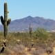 places-to-visit-in-arizona-slide-rock-grasshopper-point-apache-wash-trailhead