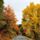Millcreek Canyon in Fall