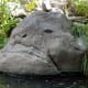 It took awhile before I noticed this grumpy old boulder staring at me.