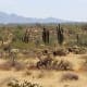 places-to-visit-in-arizona-slide-rock-grasshopper-point-apache-wash-trailhead