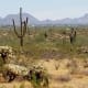 places-to-visit-in-arizona-slide-rock-grasshopper-point-apache-wash-trailhead
