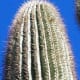 places-to-visit-in-arizona-slide-rock-grasshopper-point-apache-wash-trailhead
