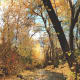 Creek Through Millcreek Canyon in Fall