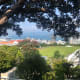 Arriving up at Kelburn to See the Magnificent View