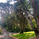 The Botanic Gardens are full of steep walks.