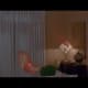 memoirs-of-an-invisible-man-1992-a-never-before-seen-movie-review