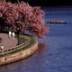 Fairmount Park offers walking trails, group tours, free concerts, and picnics every day of the year