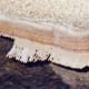 This looked like bacon in the Caverns of Sonora.