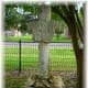 Calvert Cemetery