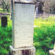 Masonic Cemetery Chappell Hill