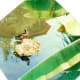 bellingrath-gardens-on-mobile-bay-pictures-of-unsurpassed-beauty