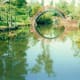 Oriental - American Gardens