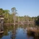 bellingrath-gardens-on-mobile-bay-pictures-of-unsurpassed-beauty