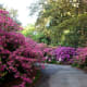 bellingrath-gardens-on-mobile-bay-pictures-of-unsurpassed-beauty