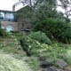 bellingrath-gardens-on-mobile-bay-pictures-of-unsurpassed-beauty