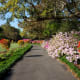 bellingrath-gardens-on-mobile-bay-pictures-of-unsurpassed-beauty