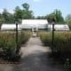 Rose Garden and Conservatory