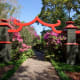 bellingrath-gardens-on-mobile-bay-pictures-of-unsurpassed-beauty