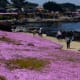 Pacific Grove