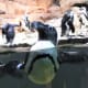 Penguin at Monterey Bay Aquarium
