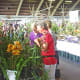 hidden-hawaii-the-spectacular-59th-annual-orchid-show-in-hilo-on-the-big-island