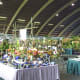 hidden-hawaii-the-spectacular-59th-annual-orchid-show-in-hilo-on-the-big-island