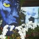 hidden-hawaii-the-spectacular-59th-annual-orchid-show-in-hilo-on-the-big-island