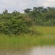 One of the many lakes and ponds around the subdistrict of Na Sai. This is the where locals may go fishing, including the lady shown elsewhere on this page