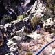 My hubby on the Island Trail at Walnut Canyon...shows some of the many steps taken while descending into the canyon.