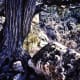 Walnut Canyon