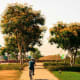 Enjoy the environment as you bike!
