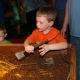 A small table with tools was set up for a mock dinosaur dig.
