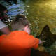 Attempting to touch a stingray, but the water was too deep. There was a long line behind us to see this attraction.